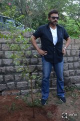  Venkatesh At Haritha Haaram Event